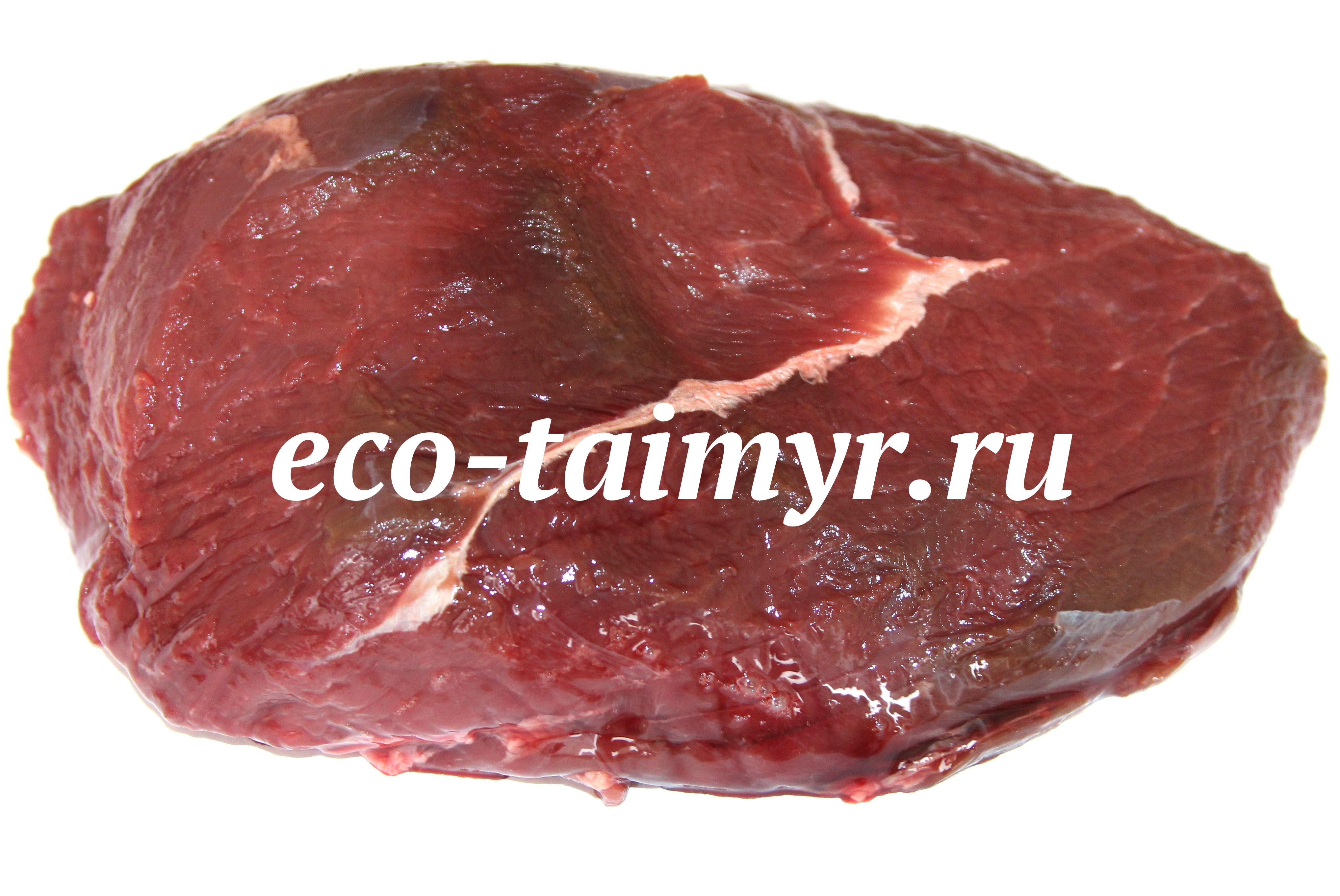 оленина окорок  фото