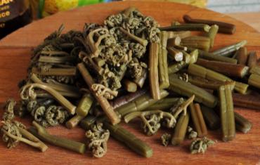 Рецепты закусок из папоротника