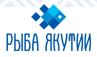 Рыба Якутии