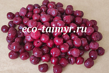 Вишня