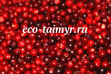 Брусника 